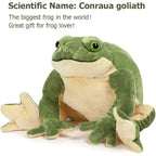 Giant Frog Plush